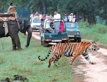 Nainital-to-Corbett-Tour