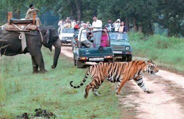 Nainital-to-Corbett-Tour